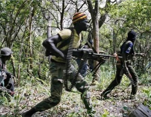 Nord-Kivu : reprise des combats entre les FARDC appuyées par la coalition des groupes armés locaux contre les M23