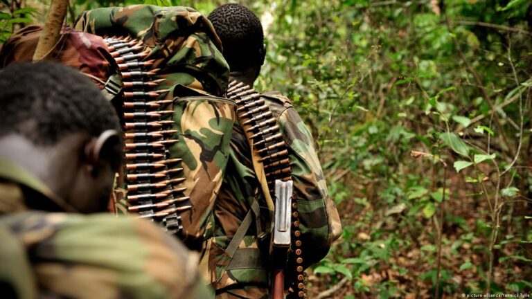 Ituri – Nord Kivu : attaques des ADF, morts et dégâts matériels à Mangina et Walese-Vonkutu