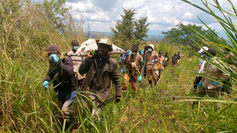 Mambasa : deux corps en putréfaction découverts à l’Est de Makumo au chef-lieu de Bangole