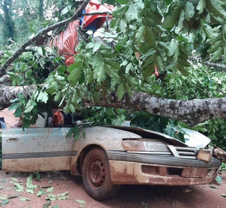 Mambasa : un vent violent à la base d’un accident mortel à Babesua près de Bandengaido