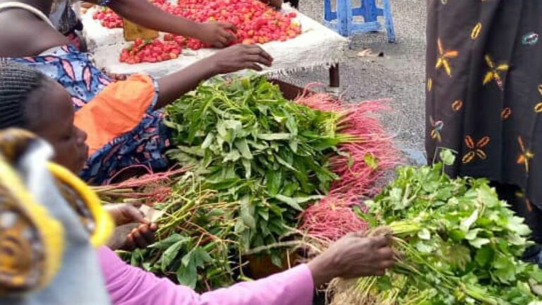 Mambasa : la population de Biakato déplore la rareté des légumes sur le marché