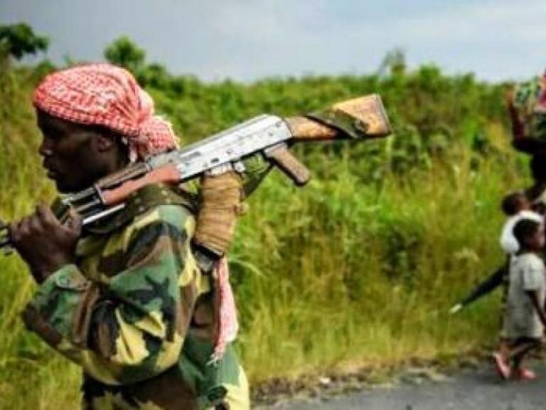 Ituri : la milice Zaïre accusée d’attaquer les positions des FARDC à Tchomia (Gouvernorat)