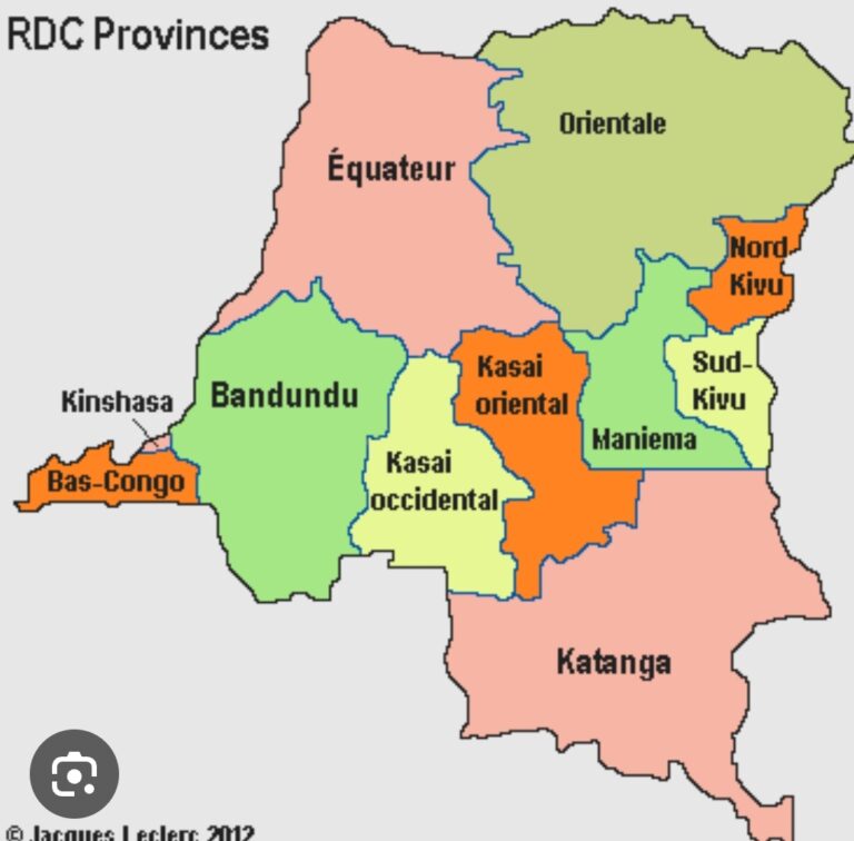 RDC : La guerre de l’Est a considérablement impacté sur les ressources naturelles