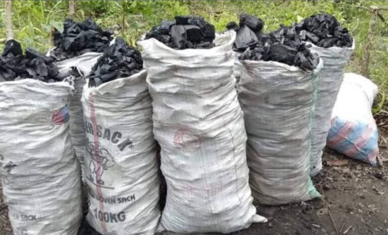 Irumu : Un sac de braise passe de 35.000 à 60.000 francs congolais à Komanda, avec une possibilité de galoper