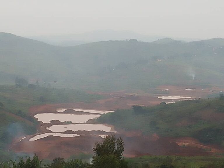 Ituri : Les forêts de Mambasa menacées par la déforestation en raison de l’exploitation anarchique des minerais