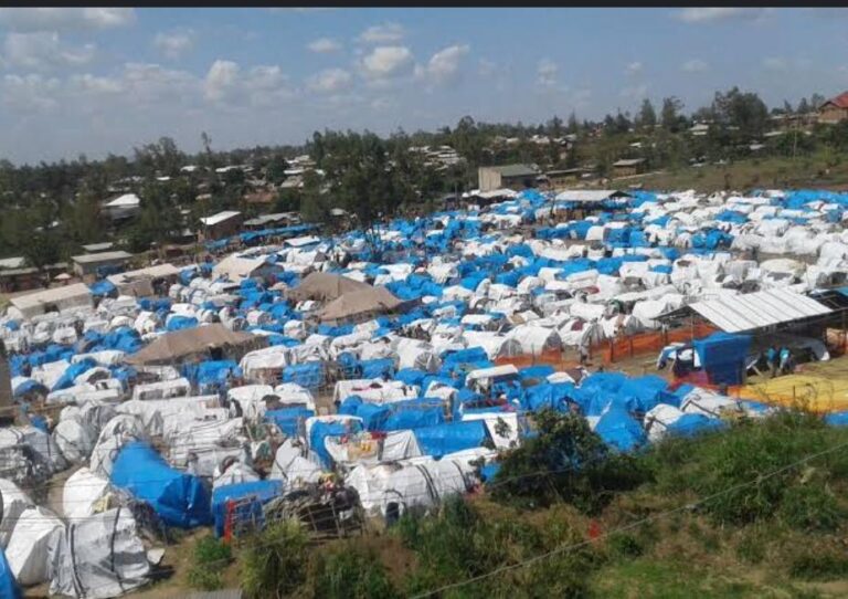 Bunia – Rentrée scolaire : Des enfants déplacés rencontrent des difficultés malgré la gratuité