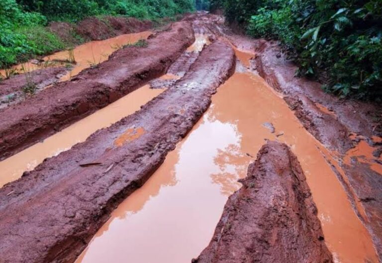 Ituri : L’impraticabilité des routes des dessertes agricoles engendre des effets sur la vie socio-économique des populations